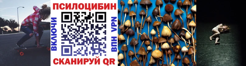 Галлюциногенные грибы Psilocybe  Купить где  Курильск 