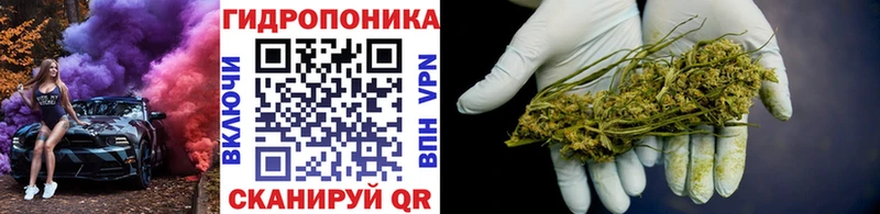 Купить закладки  Курильск  Канабис ГИДРОПОН 